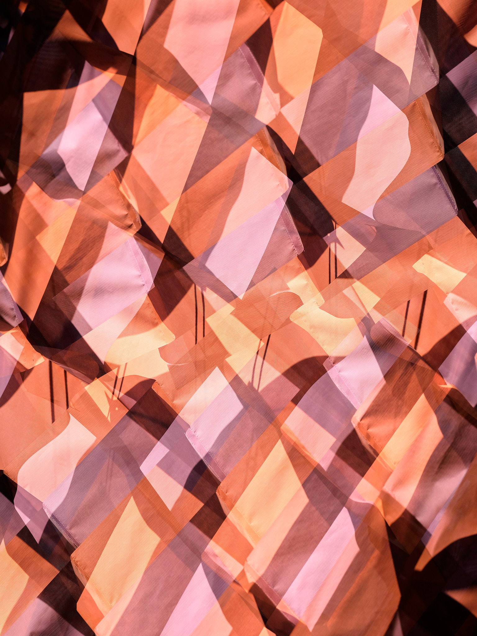 Dance of Geometry (2025)